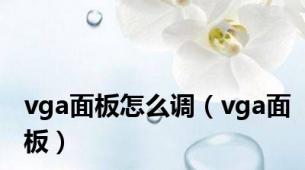 vga面板怎么调（vga面板）