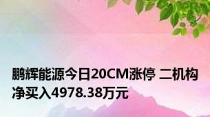 鹏辉能源今日20CM涨停 二机构净买入4978.38万元