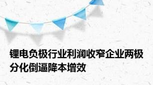 锂电负极行业利润收窄企业两极分化倒逼降本增效