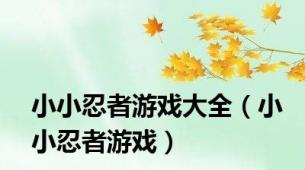 小小忍者游戏大全（小小忍者游戏）