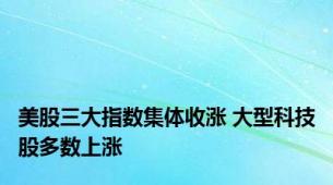 美股三大指数集体收涨 大型科技股多数上涨