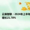 云赛智联：2024年上半年净利润增长21.78%