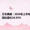 万丰奥威：2024年上半年净利润同比增长24.93%