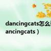 dancingcats怎么读（dancingcats）