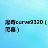 黑莓curve9320（9300黑莓）