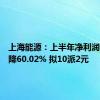 上海能源：上半年净利润同比下降60.02% 拟10派2元