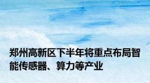 郑州高新区下半年将重点布局智能传感器、算力等产业