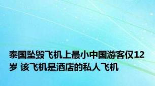 泰国坠毁飞机上最小中国游客仅12岁 该飞机是酒店的私人飞机