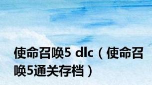 使命召唤5 dlc（使命召唤5通关存档）