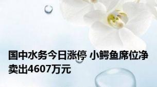 国中水务今日涨停 小鳄鱼席位净卖出4607万元