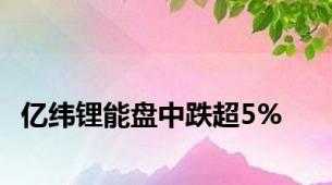 亿纬锂能盘中跌超5%