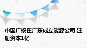 中国广核在广东成立能源公司 注册资本1亿