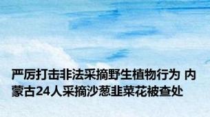 严厉打击非法采摘野生植物行为 内蒙古24人采摘沙葱韭菜花被查处