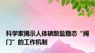 科学家揭示人体磷酸盐稳态“阀门”的工作机制