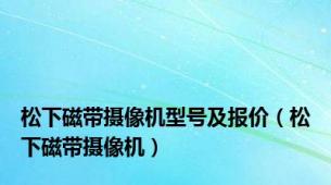 松下磁带摄像机型号及报价（松下磁带摄像机）