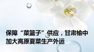 保障“菜篮子”供应，甘肃榆中加大高原夏菜生产外运