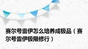 赛尔号雷伊怎么培养成极品（赛尔号雷伊极限修行）