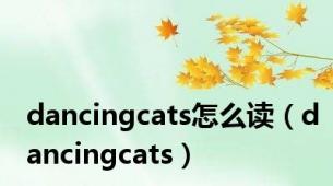 dancingcats怎么读（dancingcats）