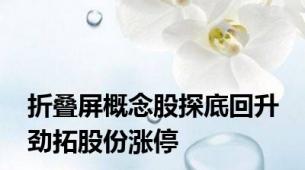 折叠屏概念股探底回升 劲拓股份涨停