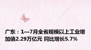 广东：1—7月全省规模以上工业增加值2.29万亿元 同比增长5.7%