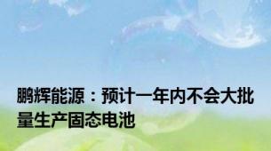 鹏辉能源：预计一年内不会大批量生产固态电池