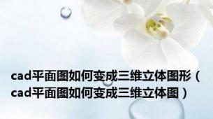 cad平面图如何变成三维立体图形（cad平面图如何变成三维立体图）