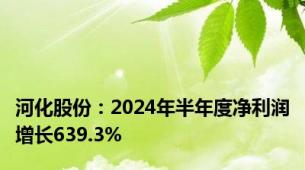 河化股份：2024年半年度净利润增长639.3%