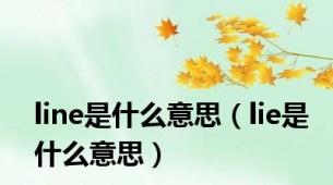 line是什么意思（lie是什么意思）