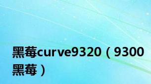 黑莓curve9320（9300黑莓）