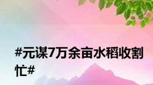 #元谋7万余亩水稻收割忙#