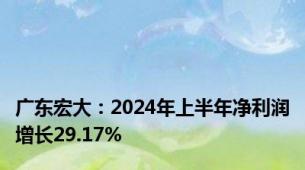 广东宏大：2024年上半年净利润增长29.17%