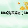 BB枪购买渠道（BB枪）