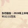 东芯股份：2024年上半年净亏损9112.11万元