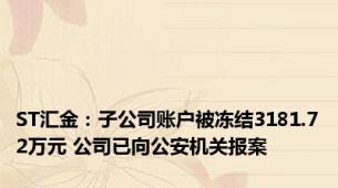 ST汇金：子公司账户被冻结3181.72万元 公司已向公安机关报案