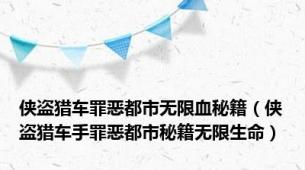 侠盗猎车罪恶都市无限血秘籍（侠盗猎车手罪恶都市秘籍无限生命）