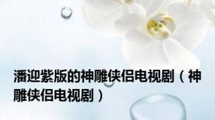 潘迎紫版的神雕侠侣电视剧（神雕侠侣电视剧）