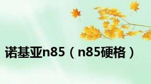 诺基亚n85（n85硬格）