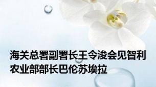 海关总署副署长王令浚会见智利农业部部长巴伦苏埃拉