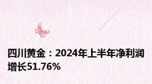 四川黄金：2024年上半年净利润增长51.76%