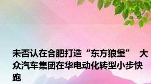 未否认在合肥打造“东方狼堡”  大众汽车集团在华电动化转型小步快跑