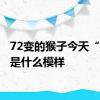 72变的猴子今天“应该”是什么模样