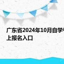 广东省2024年10月自学考试网上报名入口