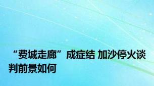 “费城走廊”成症结 加沙停火谈判前景如何