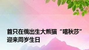 首只在俄出生大熊猫“喀秋莎”迎来周岁生日