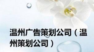 温州广告策划公司（温州策划公司）