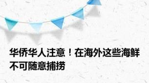 华侨华人注意！在海外这些海鲜不可随意捕捞