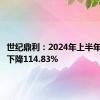 世纪鼎利：2024年上半年净利润下降114.83%