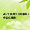 dnf工会怎么升级中级（dnf工会怎么升级）