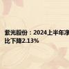 紫光股份：2024上半年净利润同比下降2.13%