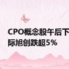 CPO概念股午后下挫 中际旭创跌超5%